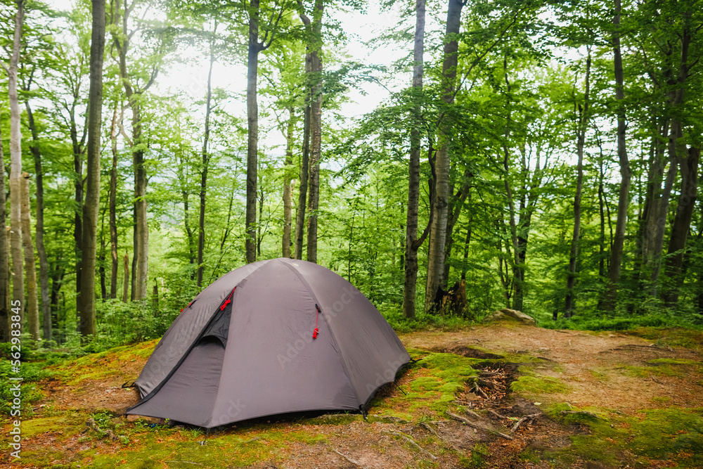 Camping in the Forest