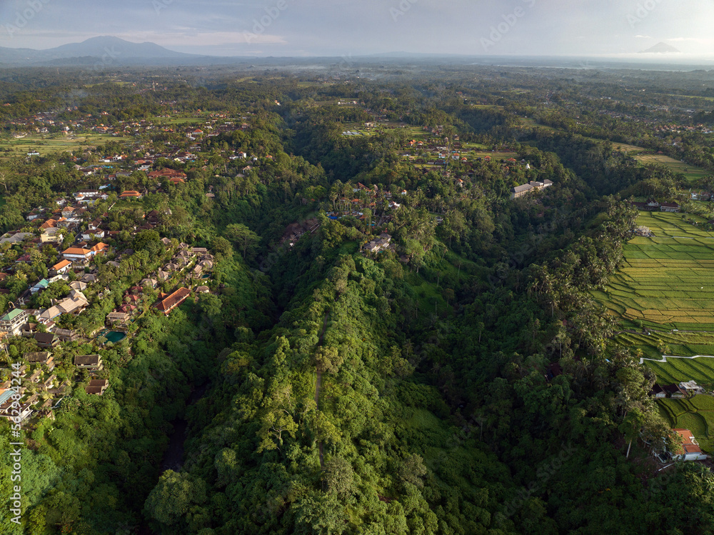 Aerial view of artist trail in Ubud, Bali.