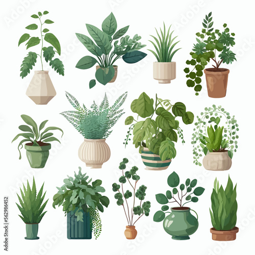 Potted plants vector collection on white background. Hand-drawn illustration isolated on white background