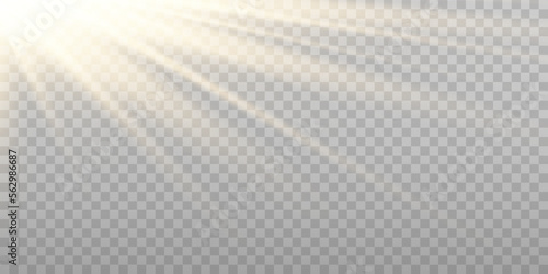 Vector golden sun light effect. Glowing sunrays on transparent background. Stock royalty free vector