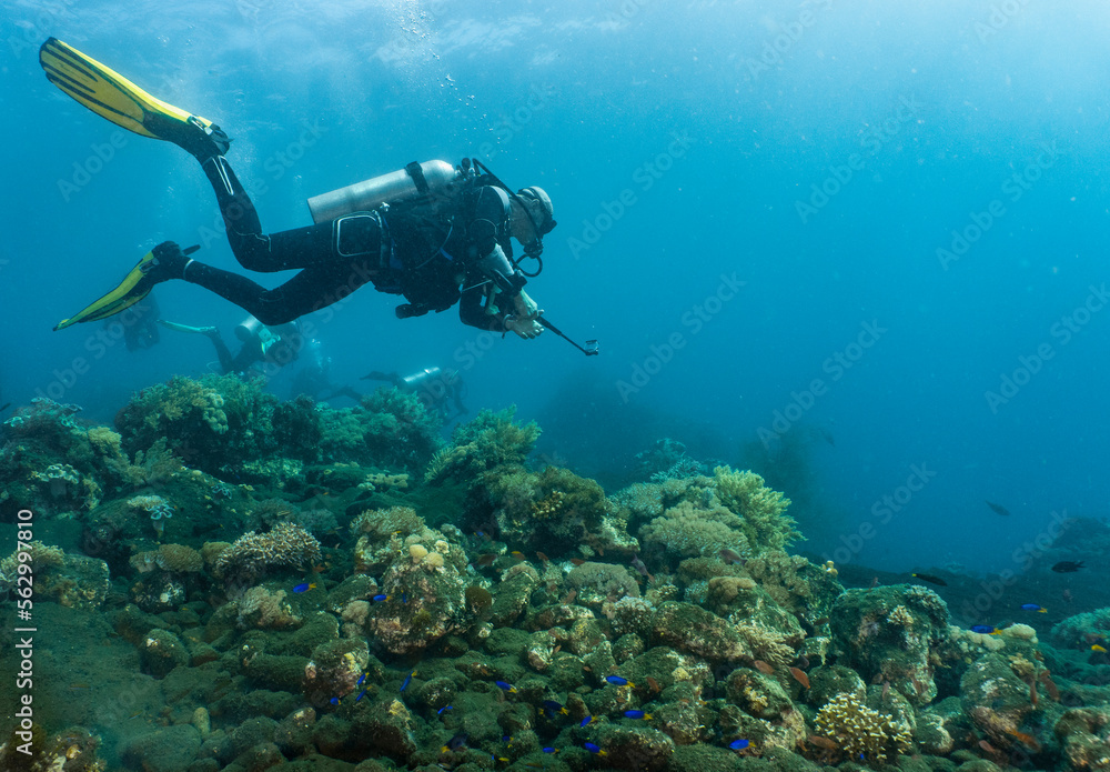 Scuba diver filming with compact video camera around Komodo Island in Indonesia Scuba diver filming with compact video camera around Komodo Island in Indonesia