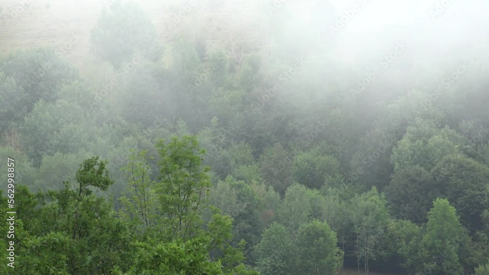 Fog in Mountains, Raining in Forest, Smoke, Mystical View, Foggy in Alpines, Mysterious Scary Scenery, Clouds in Wood, Timelapse Fog in Mountains, Raining in Forest, Smoke, Mystical View, Foggy in Alpines, Mysterious Scary Scenery, Clouds in Wood, Timelapse