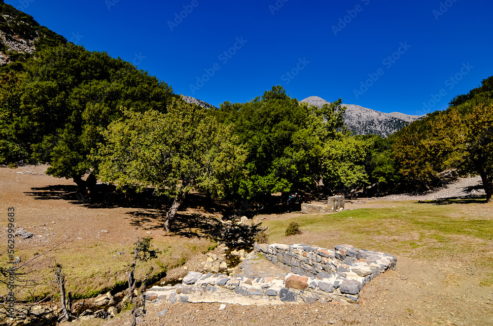 Landscape of the hinterland in Crete with its mountains and its typical vegetation