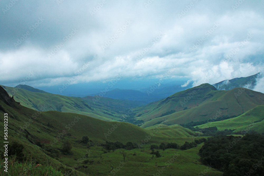 The Rainforest of westernghats