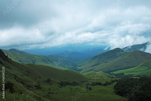 The Rainforest of westernghats