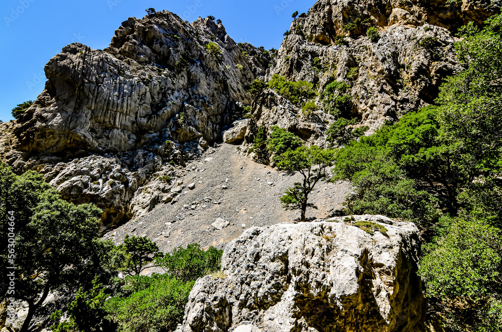 Canyon and mountain hike in Crete Canyon and mountain hike in Crete