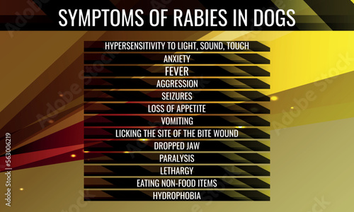 Symptoms of rabies in Dogs.  Vector illustration for medical journal or brochure. 
