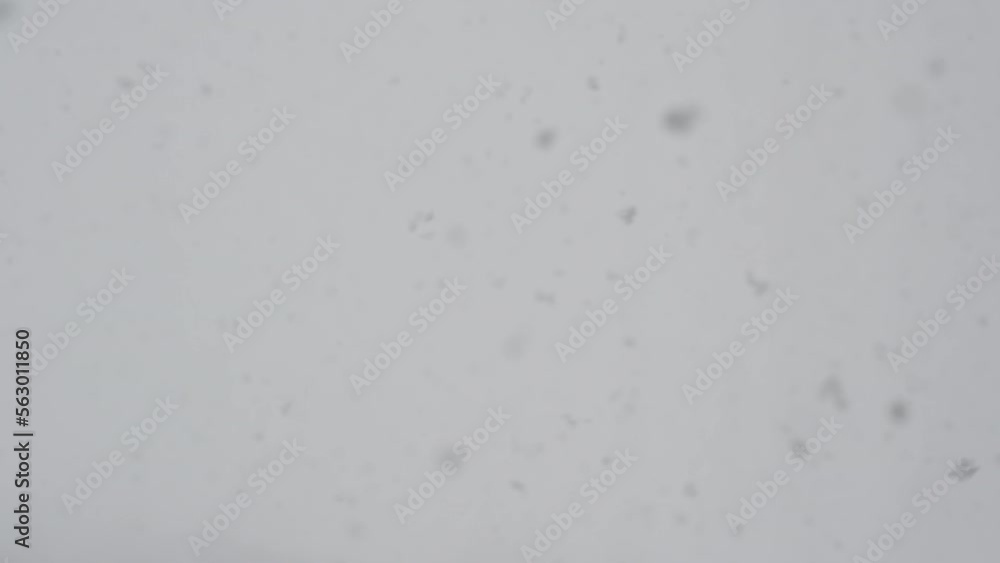 Slow motion snow falling over white clouds Slow motion snow falling over white clouds
