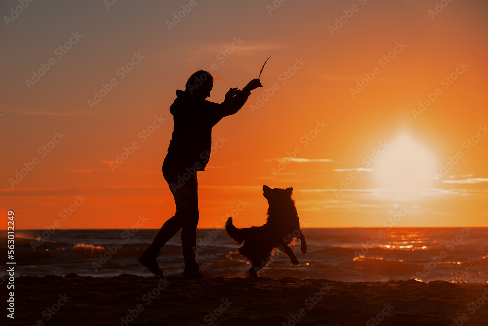 Silhouette of a girl with dogs at sunset