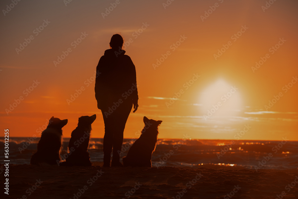 Silhouette of a girl with dogs at sunset