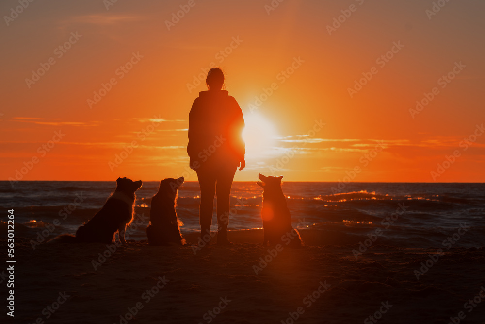 Silhouette of a girl with dogs at sunset