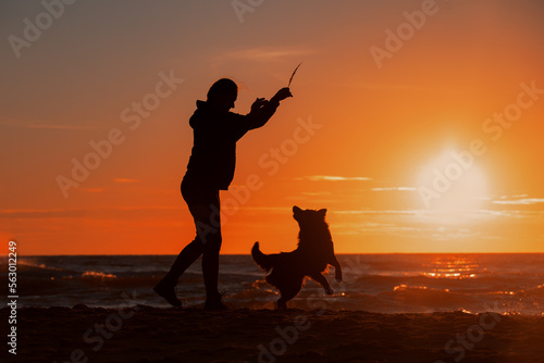 Silhouette of a girl with dogs at sunset