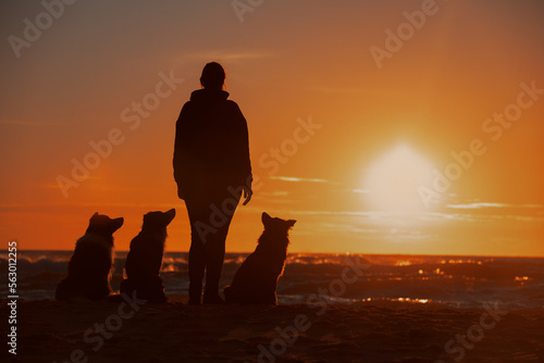 Obraz na płótnie Silhouette of a girl with dogs at sunset w salonie