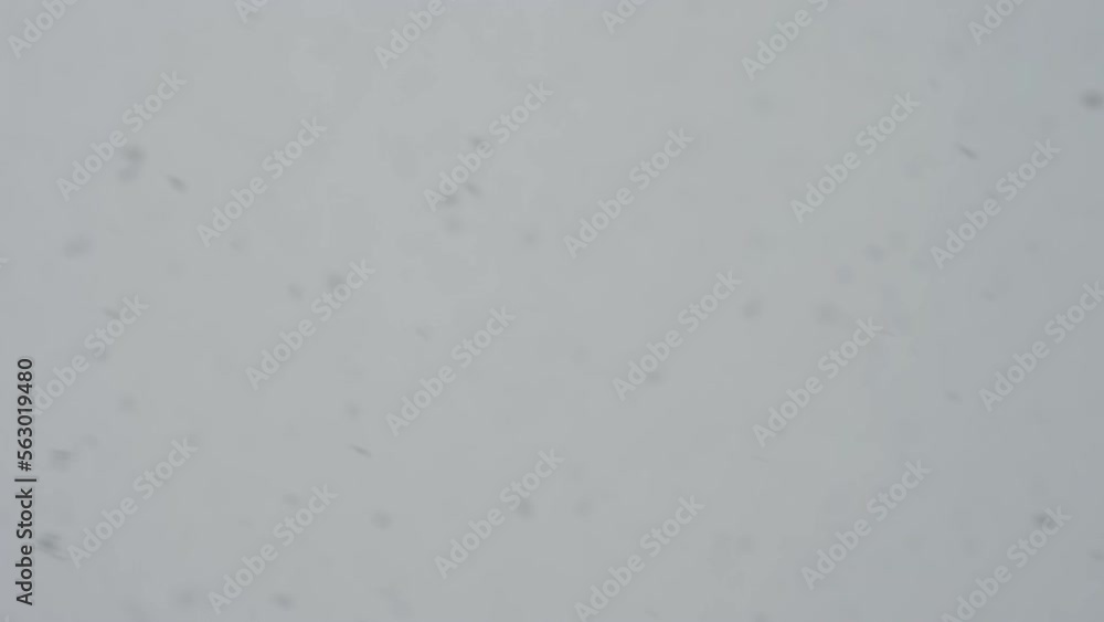 Slow motion snow falling over white clouds Slow motion snow falling over white clouds