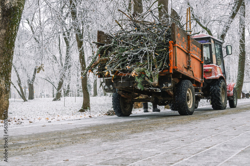 Tractor for cleaning the park from snow and debris. Equipment for cleaning paths in the park from snow and wooden branches in winter. Fallen tree branches are put into the tractor after a snowfall.