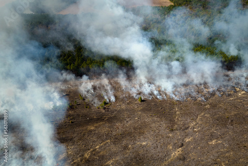 Aerial view of white smoke from forest fire rising up polluting atmosphere. Natural disaster concept