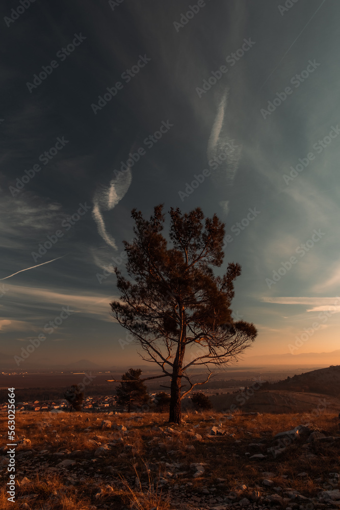 Fototapeta premium Beautiful landscape