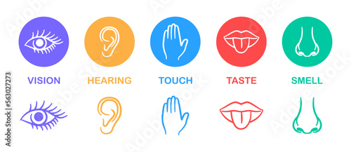 Set of five human senses. Hearing, taste, smell, sight and touch. Ear, mouth with tongue, nose, eye and hand. Vector