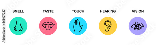 Set of five human senses. Hearing, taste, smell, sight and touch. Ear, mouth with tongue, nose, eye and hand. Vector photo