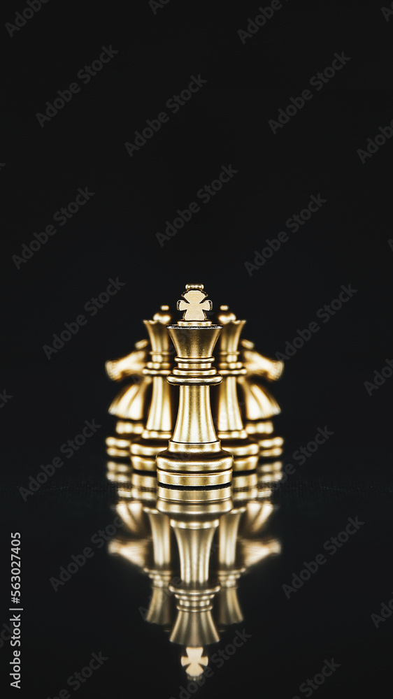 King chess pieces stand in vertical concepts of challenge of leader business team or teamwork volunteer or wining and leadership strategic plan and risk management or team player. King chess pieces stand in vertical concepts of challenge of leader business team or teamwork volunteer or wining and leadership strategic plan and risk management or team player.