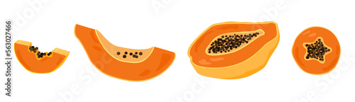 Papaya vector illustration in cartoon style