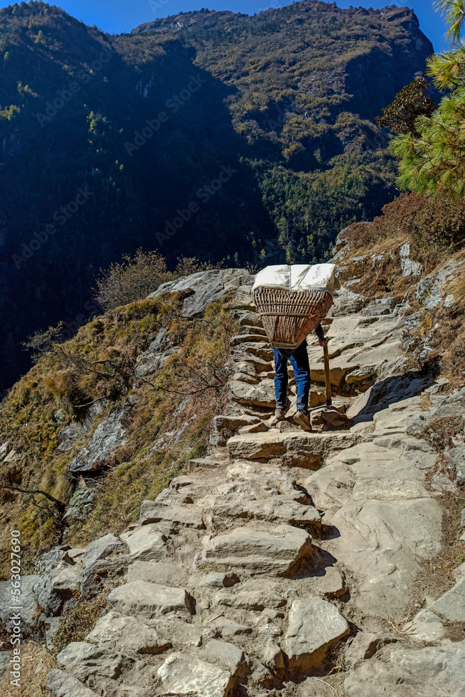 Back view of unknown porter carrying goods along narrow path in the Himalaya mountains.