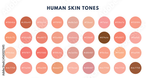 Index of skin tones set. Cosmetics skin tone color pallete. Vector isolated illustration
