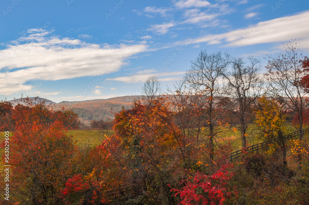 Fototapeta premium autumn in the mountains
