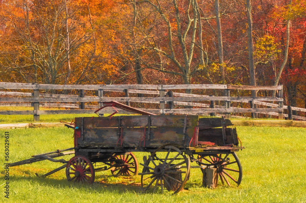 wagon in the field in autumn wagon in the field in autumn