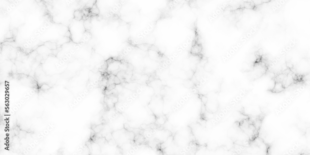 White marble texture panorama background pattern with high resolution. white architecuture italian marble surface and tailes for background or texture.
White marble texture panorama background pattern with high resolution. white architecuture italian marble surface and tailes for background or texture.