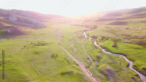 The drone flies high along a stream and juicy grass high in the mountains of Central Asia.The winding riverbed is a supply of fresh water of the world ocean. photo