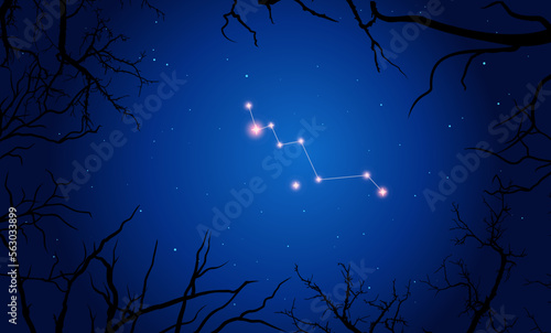 Vector illustration Lacerta constellation. Bright constellation in open space  blue sky. Starry sky behind tree silhouette