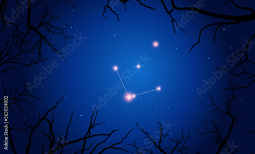 Vector illustration Norma constellation. Tree branches  dark blue starry sky