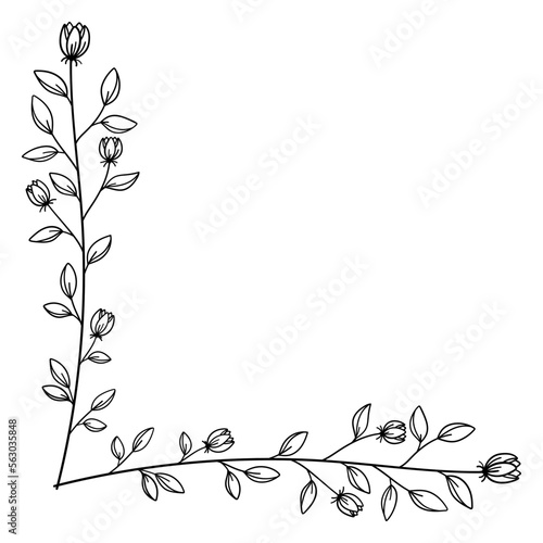 繊細な植物や花のボタニカルコーナーフレーム　ベクター素材