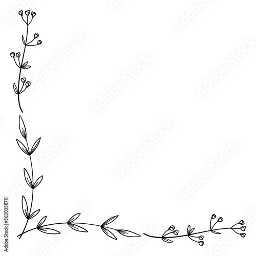 繊細な植物や花のボタニカルコーナーフレーム ベクター素材