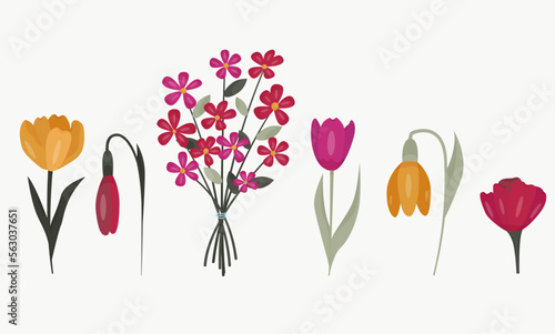 set of flowers. tulip, daisy, bouquet.. flat vector illustration