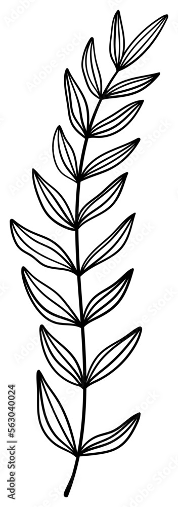 Obraz premium 繊細な植物や花のボタニカルイラスト ベクター素材