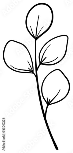 繊細な植物や花のボタニカルイラスト　ベクター素材