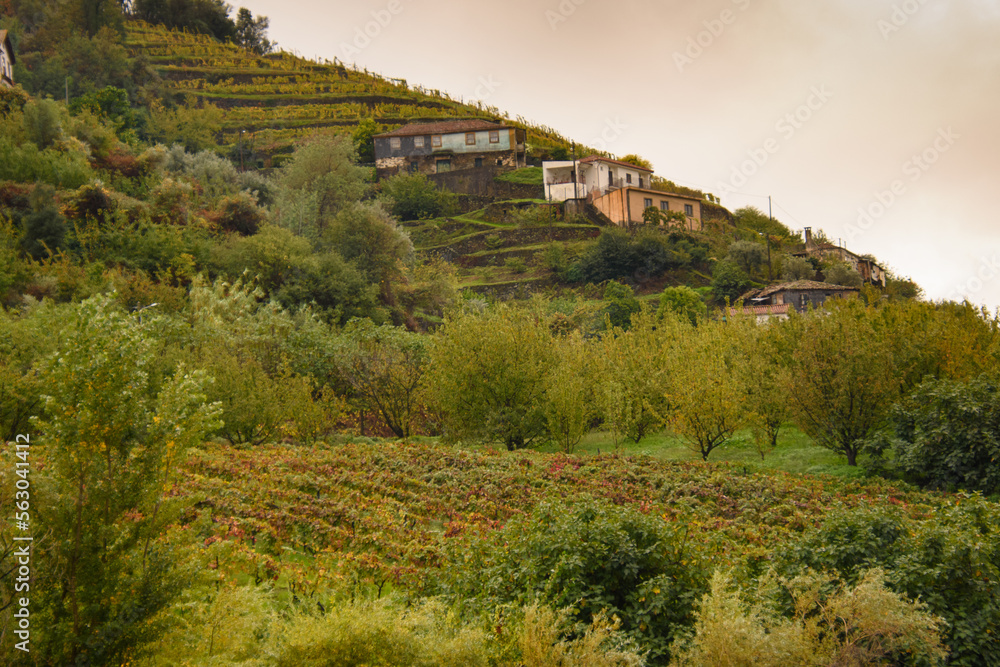 The beautiful landscape of the Douro Valley in Portugal and its unique architecture