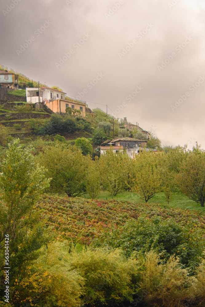 Obraz premium The beautiful landscape of the Douro Valley in Portugal and its unique architecture