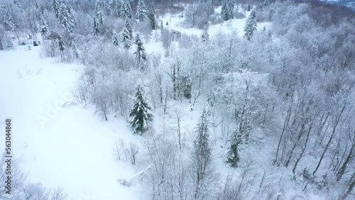 mountains hill in the winter with snow covered trees
