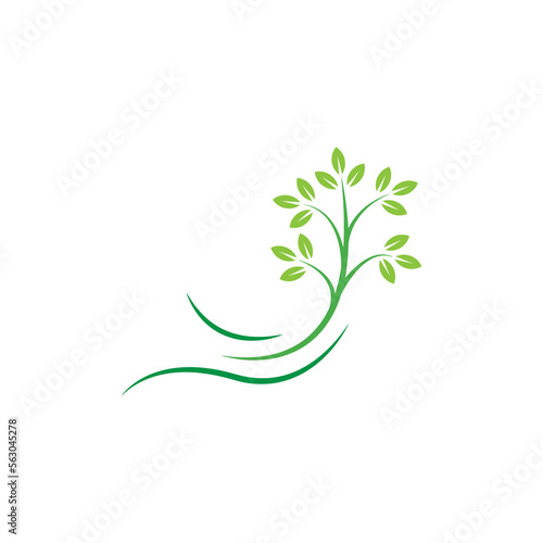 Stylized twig elements with leaves  Green leaf collection  Leaf icon vector isolated on white background. Various shapes of green leaves on trees and plants  floral elements 
