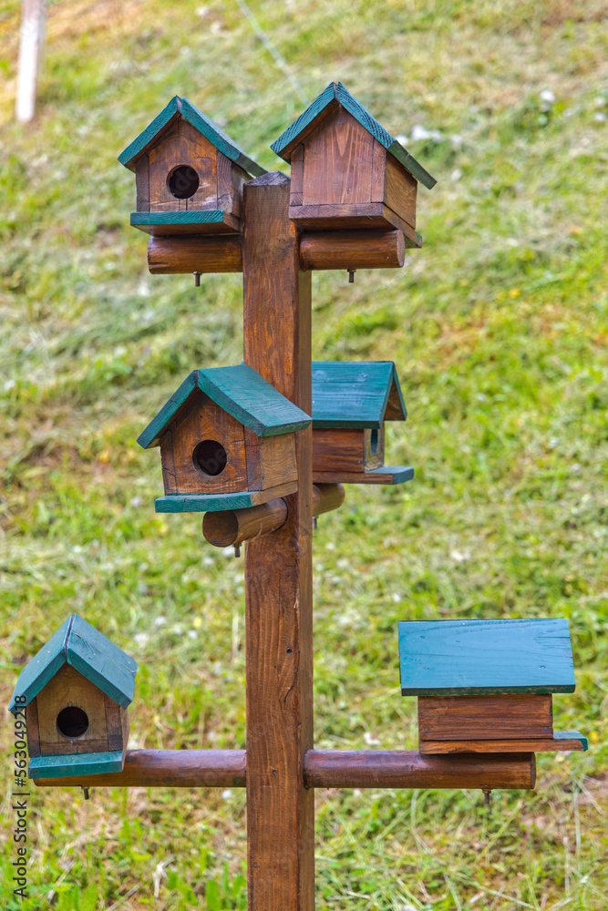 Multiple Birds Houses