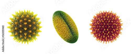 Set of pollen grains, isolated. Pollen allergy is also known as allergic rhinitis or hay fever.