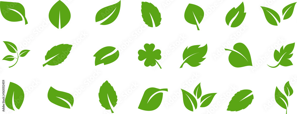 Collection of green leafs. Collection of green leafs.