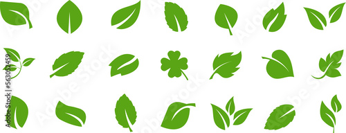 Collection of green leafs.