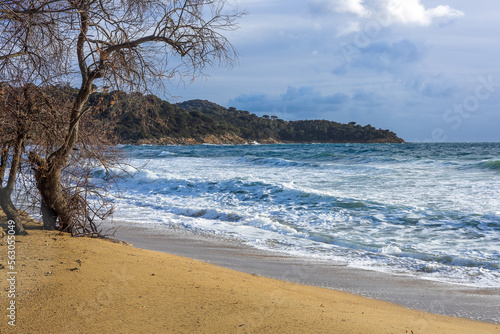 View of Cap Lardier from Gigaro beach  La Croix Valmer  France