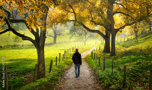 Man walking through the beautiful countryside, with green meadows and autumn trees surrounding the scenic pathway  © Smileus