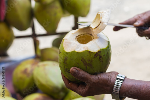 tender coconut or green coconut water being sold as healthy refreshing drink during summertime. photo