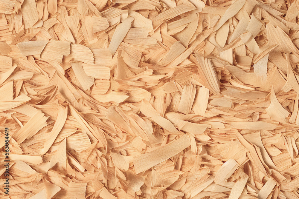 background sawdust and loose shavings background sawdust and loose shavings